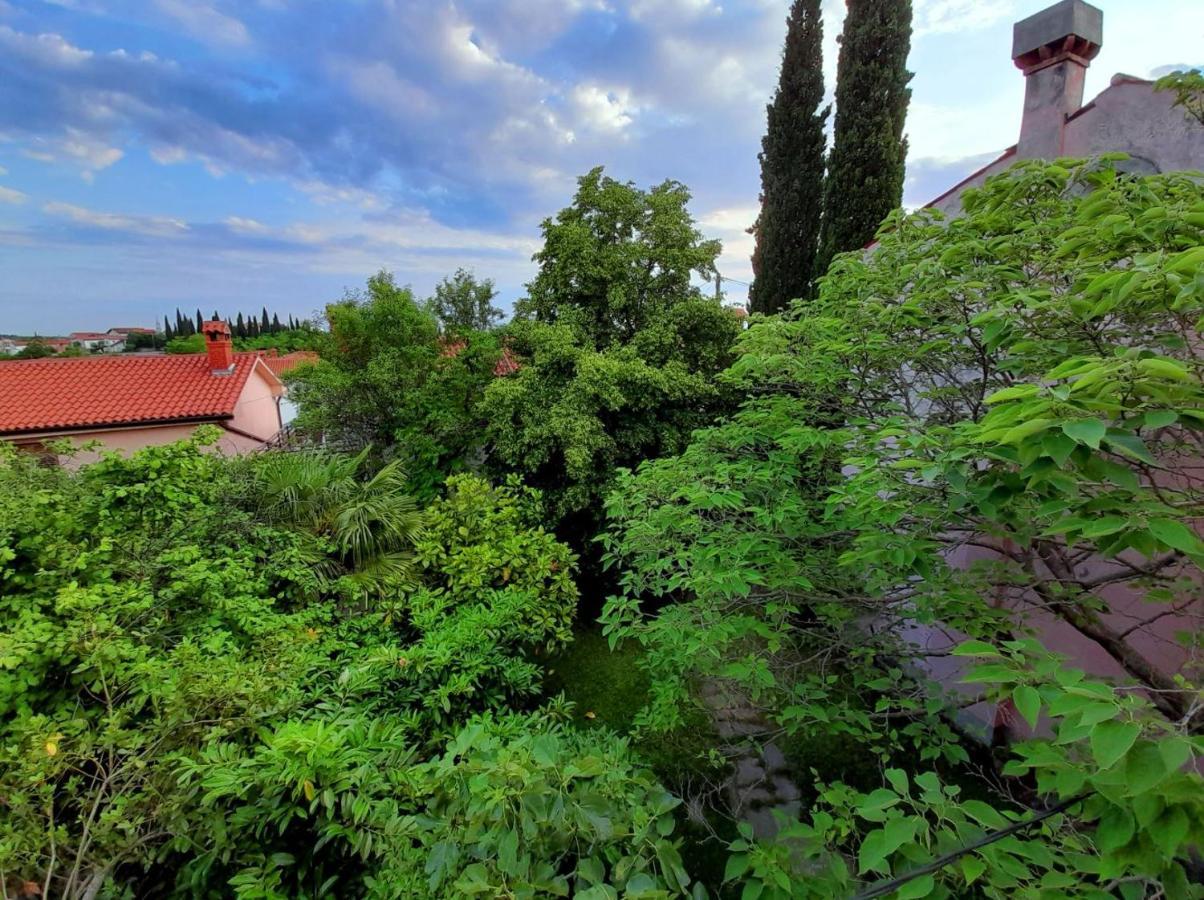 Traditional Istrian Stone House Smarje  Exterior photo