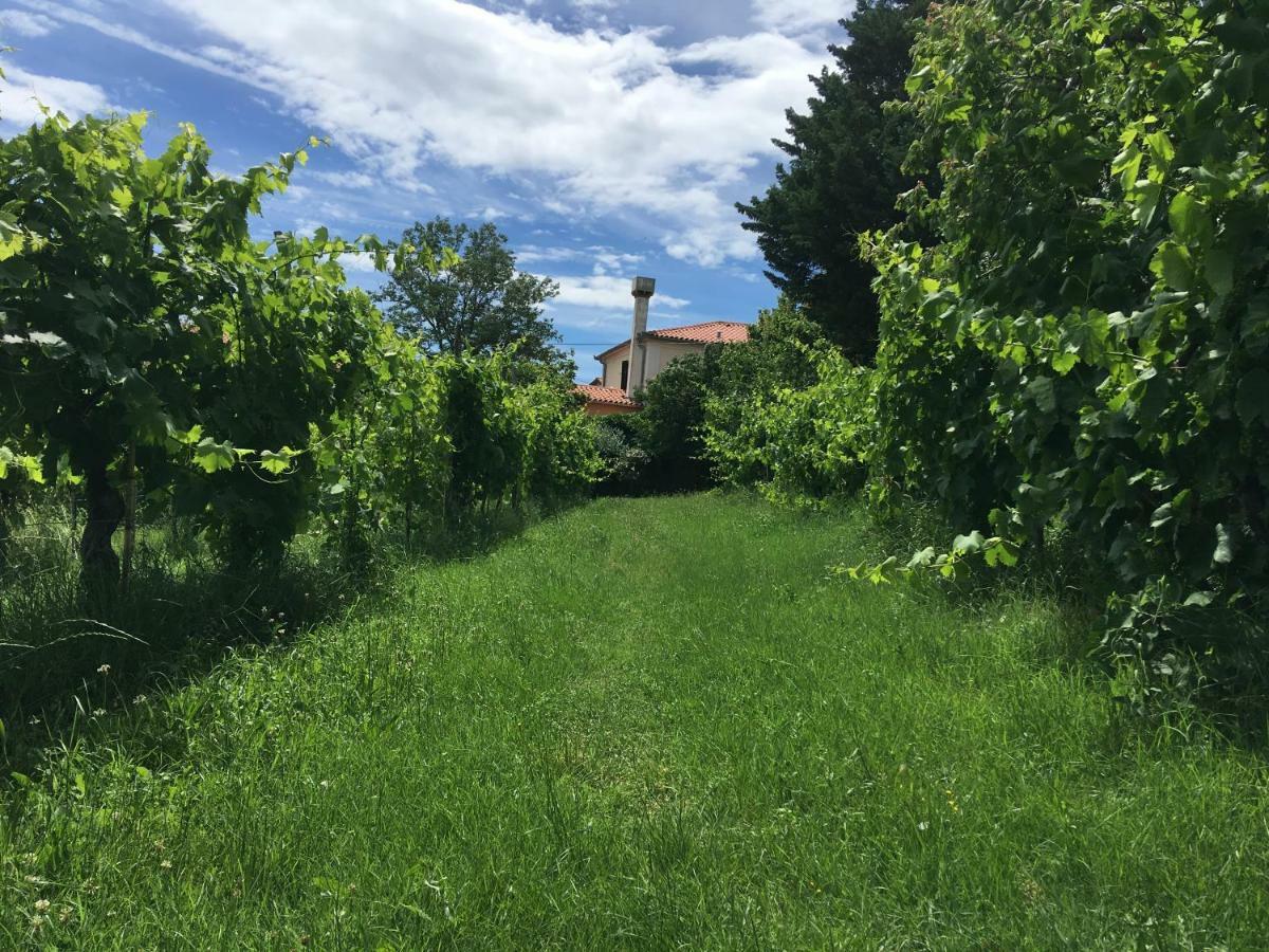 Traditional Istrian Stone House Smarje  Exterior photo